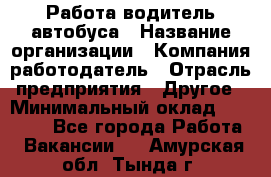 Работа водитель автобуса › Название организации ­ Компания-работодатель › Отрасль предприятия ­ Другое › Минимальный оклад ­ 45 000 - Все города Работа » Вакансии   . Амурская обл.,Тында г.